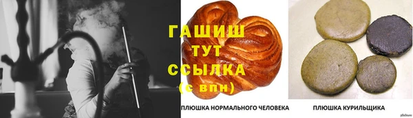 молекула духа Зеленодольск