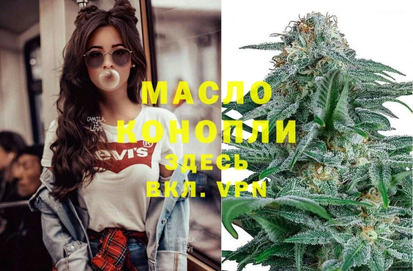 молекула духа Зеленодольск