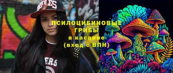 молекула духа Зеленодольск