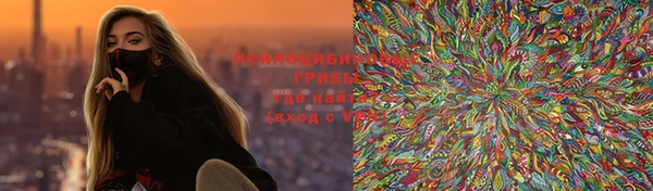 молекула духа Зеленодольск