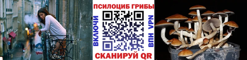 Псилоцибиновые грибы ЛСД  Купить где  Игарка 
